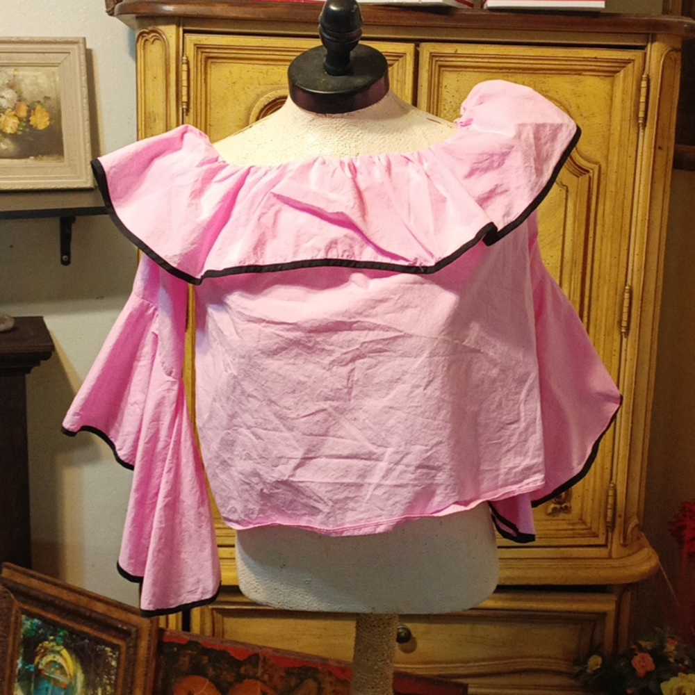 Pink Women Shirt Sz XS Flirty off shoulder Flappy Sleeve Dramatic ZARA BASIC